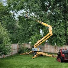 Best Tree Maintenance Programs  in Smithville, NJ