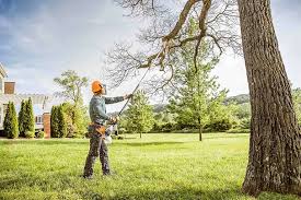 How Our Tree Care Process Works  in  Smithville, NJ